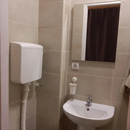 сјајни лешник 3*