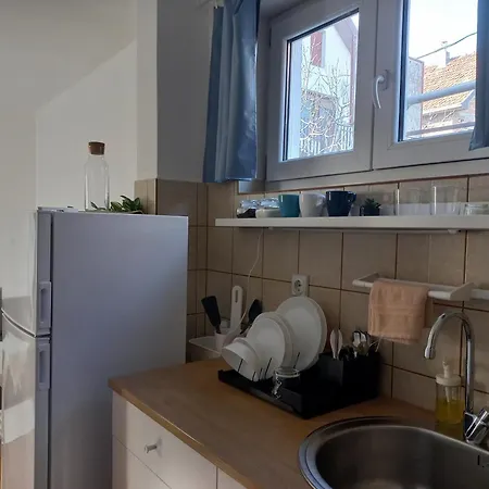 сјајни лешник Zrenjanin