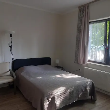 сјајни лешник Zrenjanin