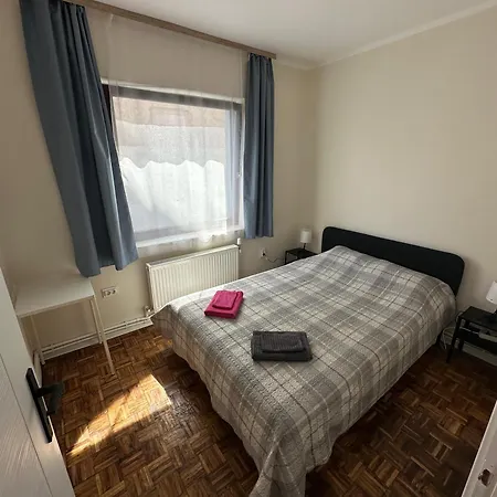 сјајни лешник 3*