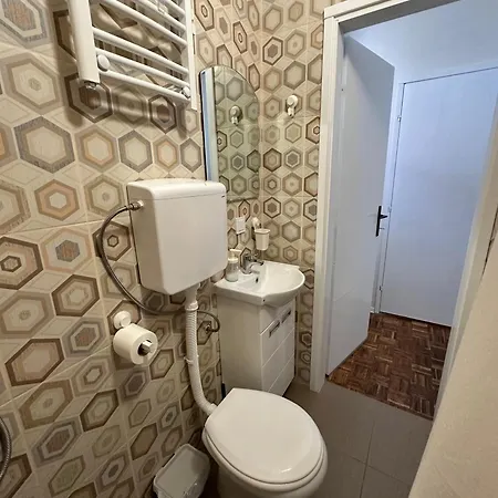 сјајни лешник 3* Zrenjanin