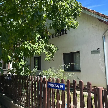 сјајни лешник