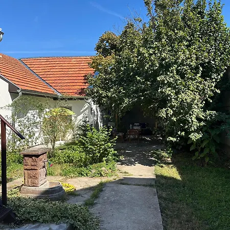 сјајни лешник 3*