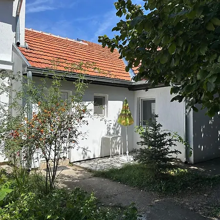 сјајни лешник